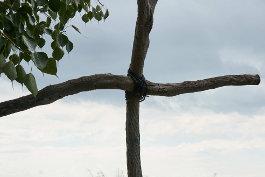 Österliche Bußzeit